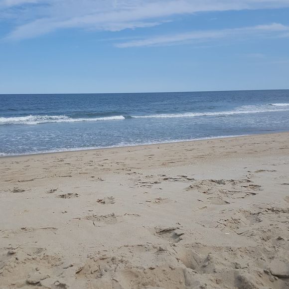 Meet your Posher, Patty - Picture 1 of 1